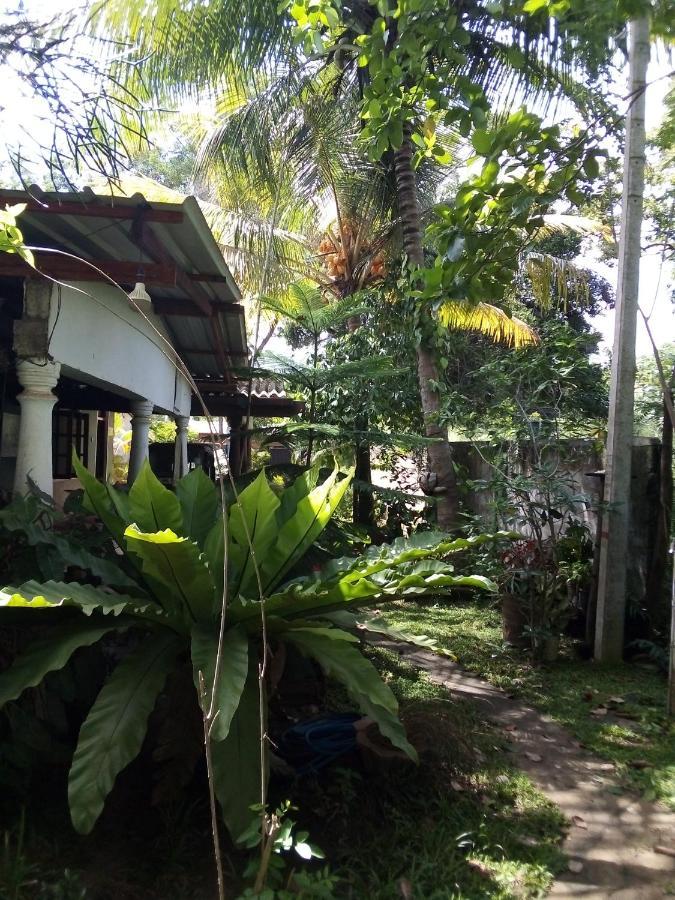 Bandula Home Stay Sigiriya Exterior photo
